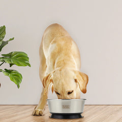 Suction Cup Pet Bowl 8.26 In