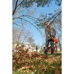 3 in 1 VACPACK 12 Amp Leaf Blower, Vacuum, and Mulcher